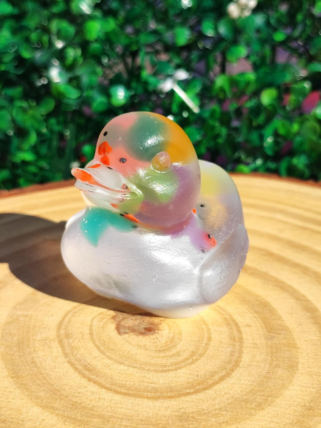 Canard