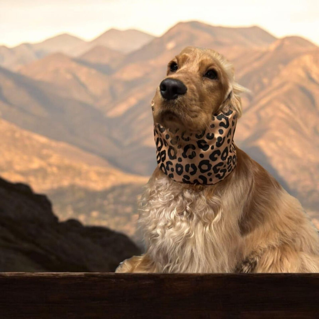 Snood Taille M "Léo Caramel