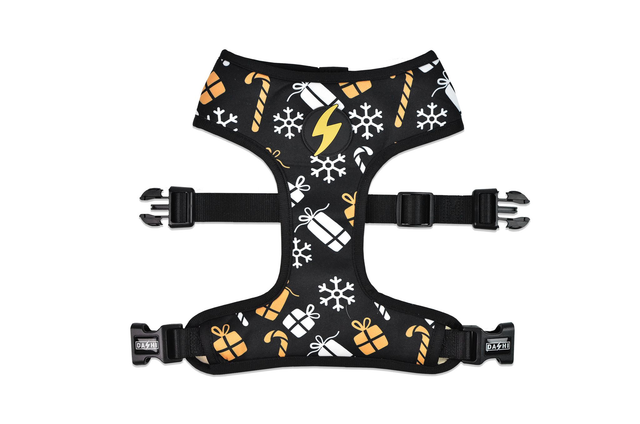 Spark Neo Mesh