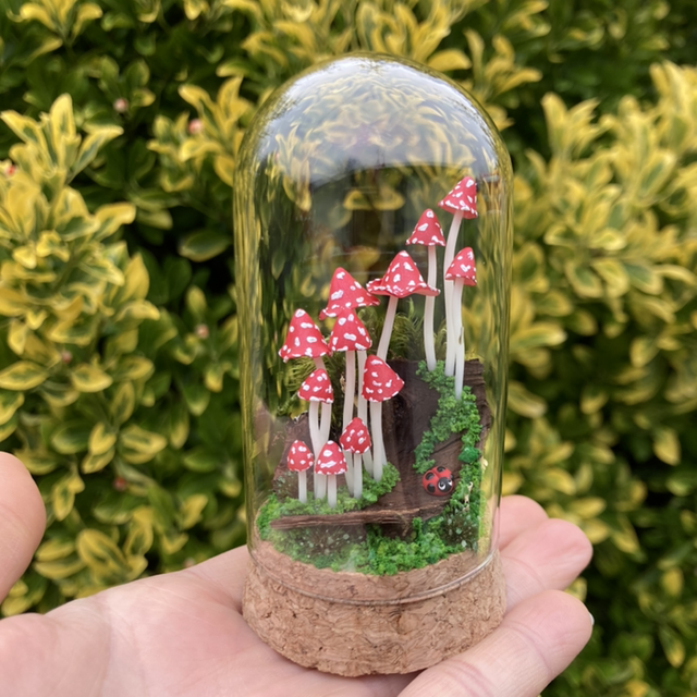 Champignons phosphorescent rouge sur écorce