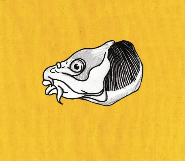 Love Letters from across the Street - CD