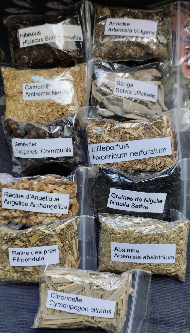 Kit de démarrage de sorcellerie 