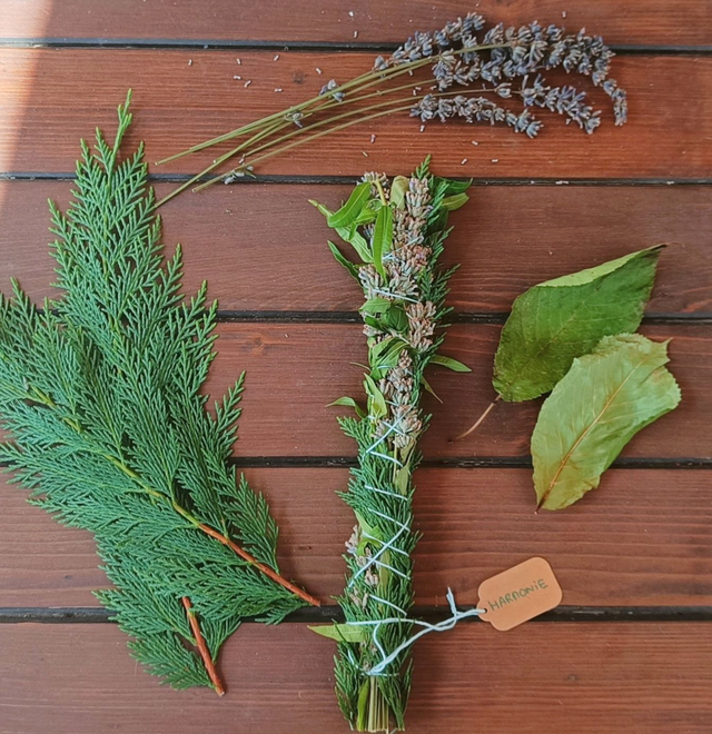 Bâton de fumigation HARMONIE (Purification naturelle aux plantes de Provence)