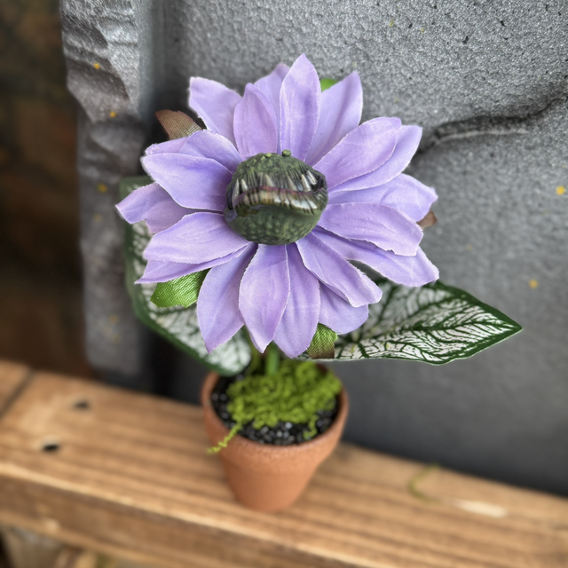 🪴 Specimen:The Lavender Listener