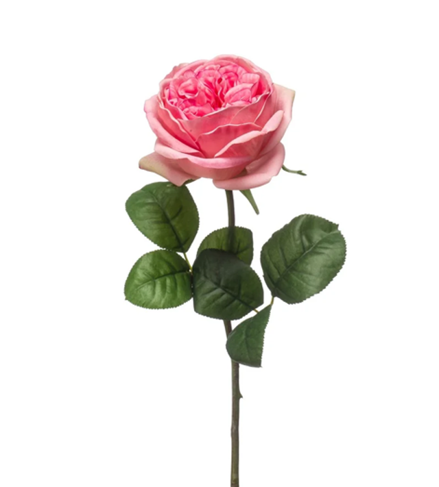 Rose austin spray Pink Real Touch