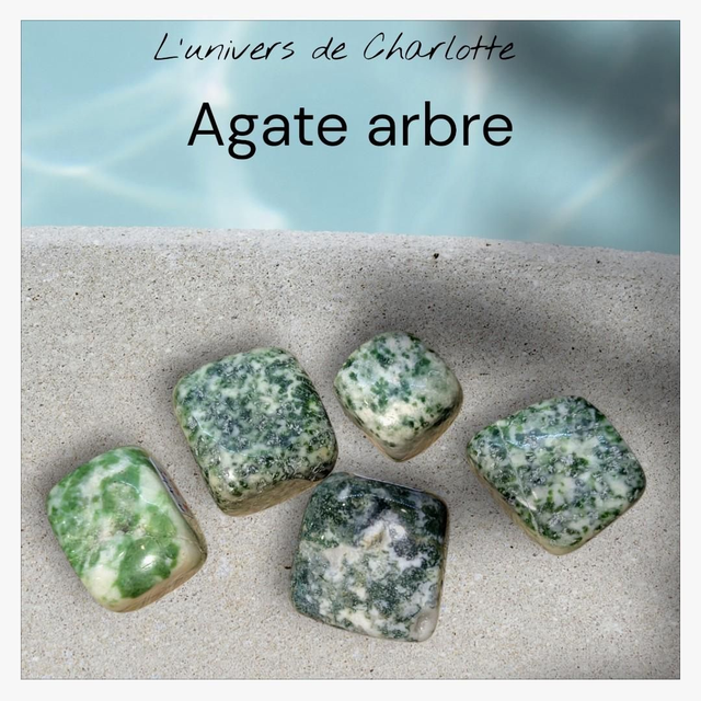 Pierre roulée &quot;Agate arbre&quot;