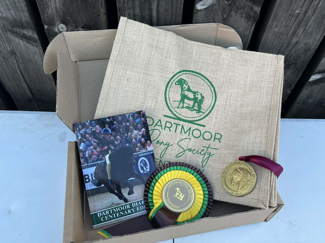 DPS Christmas Bundle 2