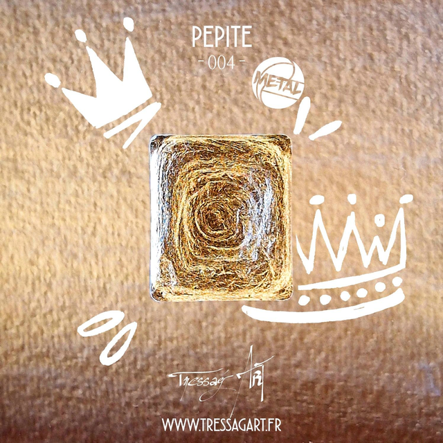 TRESSAG'ART - AQUARELLE ARTISANALE - 004 PEPITE - METAL - TR000004