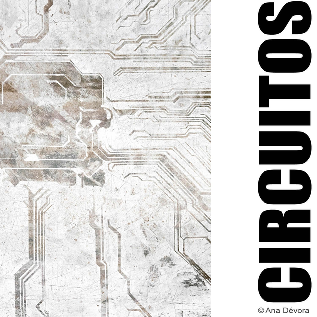 CIRCUITOS CATÁLOGO