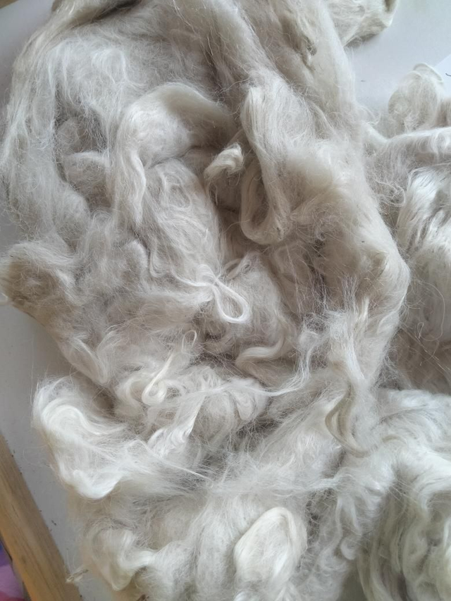 Toison001 Suri Alpaga 300g