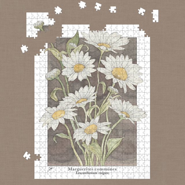 Puzzle 500 pièces - Café - Marguerites