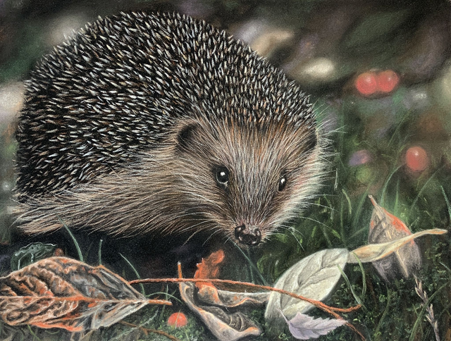 "Hedgehog" 6x8" Original Pastel Painting Artwork