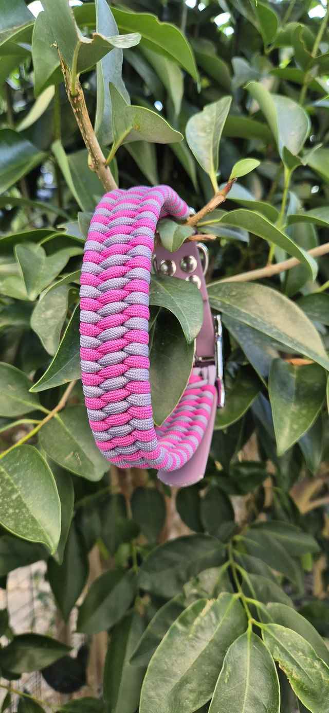 Collier biothane - Taille M