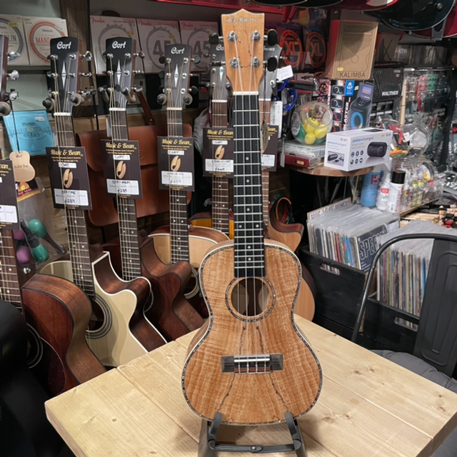 Blackwater Concert Electro-Acoustic Ukulele (Spalted Maple)