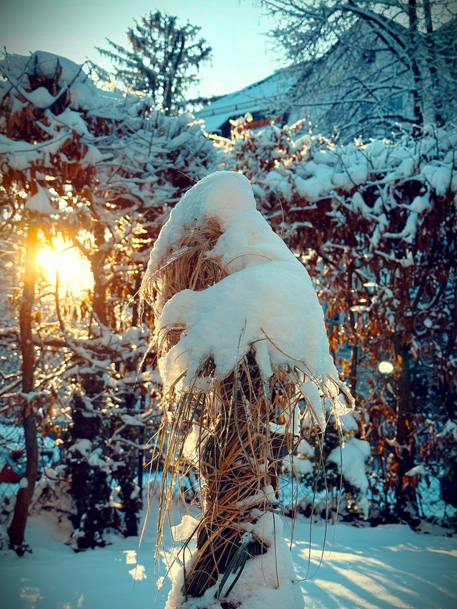 Sa, 06.12.2025, 09:45 – 11:15 Uhr Loslassen in Bewegung – Ein achtsamer Wintermoment
