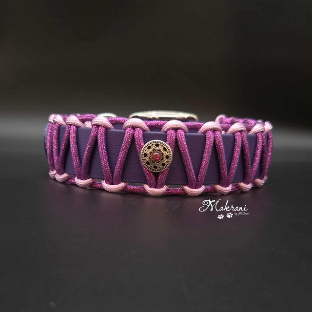 Halsband Biothane/Paracord