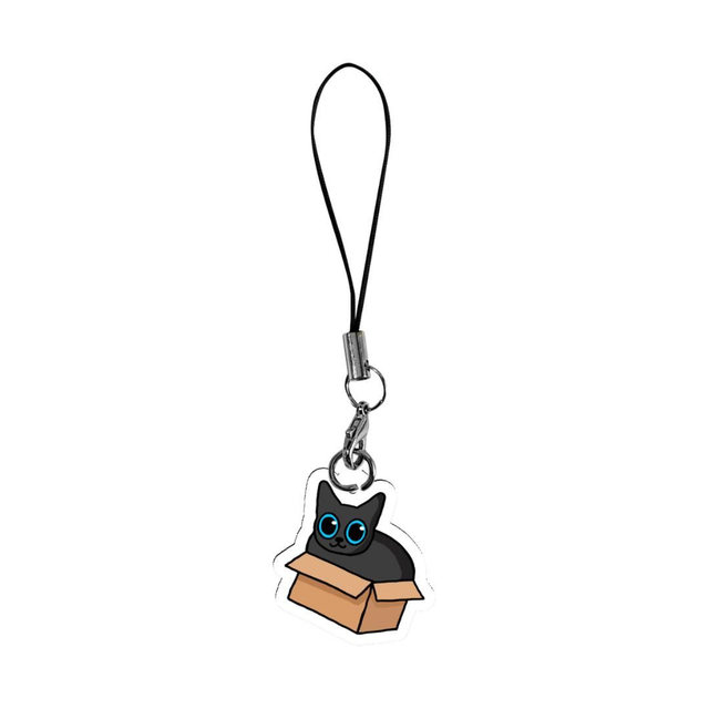 Cat In A Box Acrylic Phone Charm 
