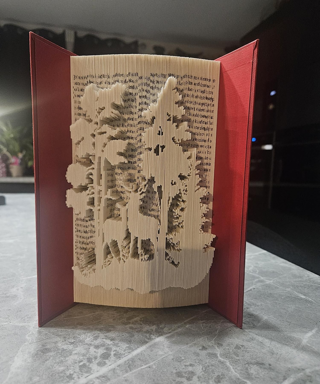 Cerf &amp; chevreuil dans ma forêt 