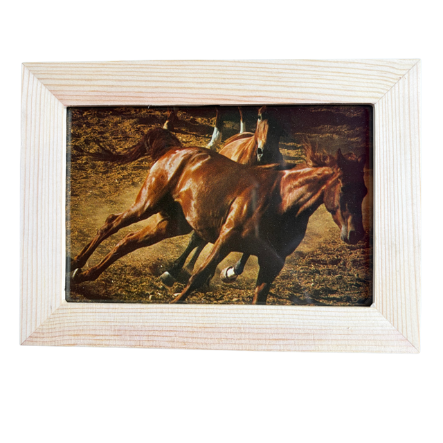 Galop