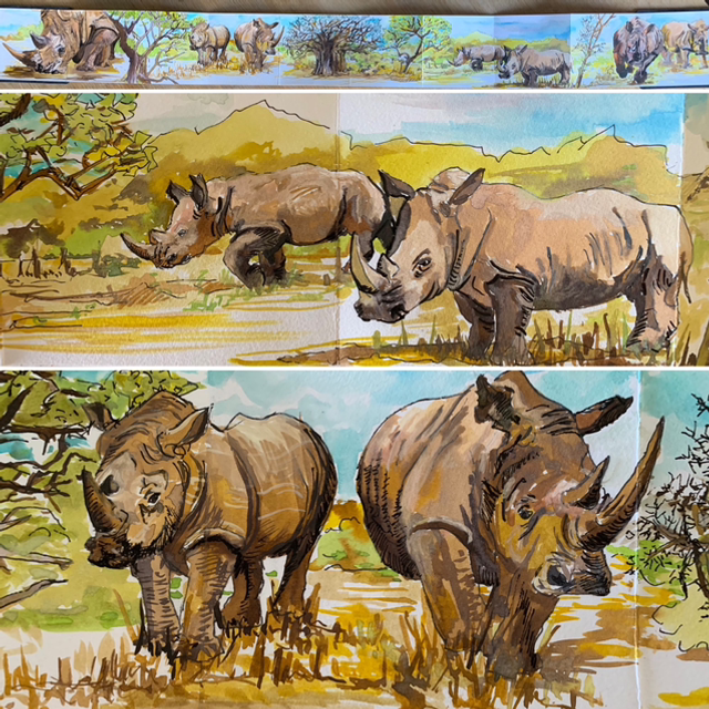 Africa Rhinocéros 🦏 