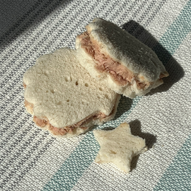 Little shell Bites- 2 x Tuna 