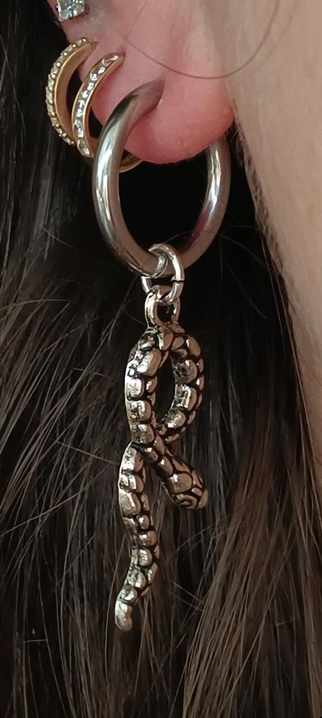 Créoles Venin d&#039;argent 