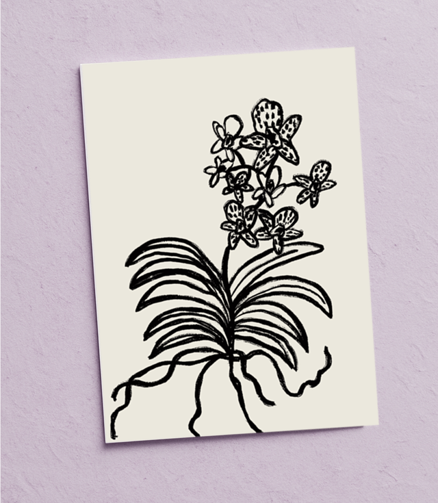 “Orchidee” Postkarte 