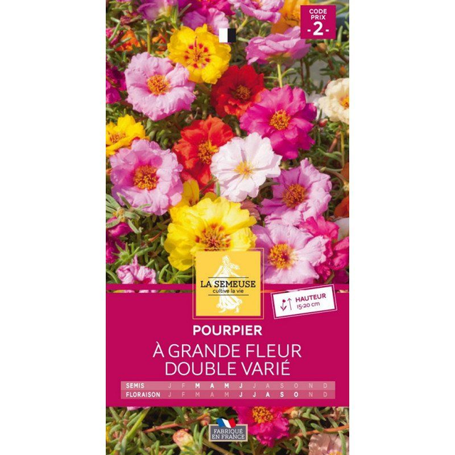 POURPIER A GRANDE FLEUR DOUBLE VARIE