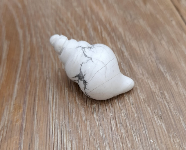 White Howlite Shell