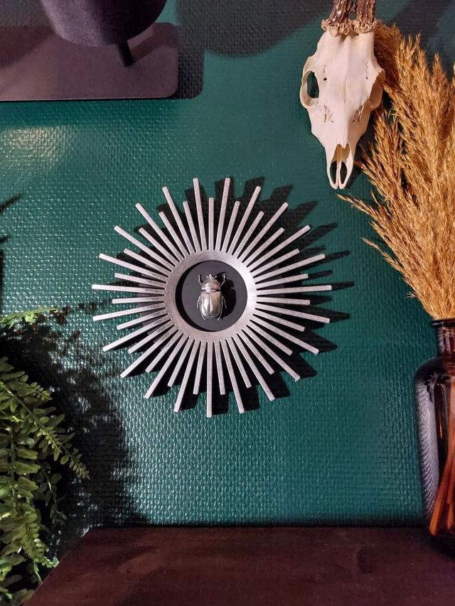 Cadre argenté avec scarabée 