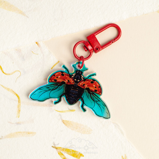 Biedronka Rainbow | ZWIERZĘTA