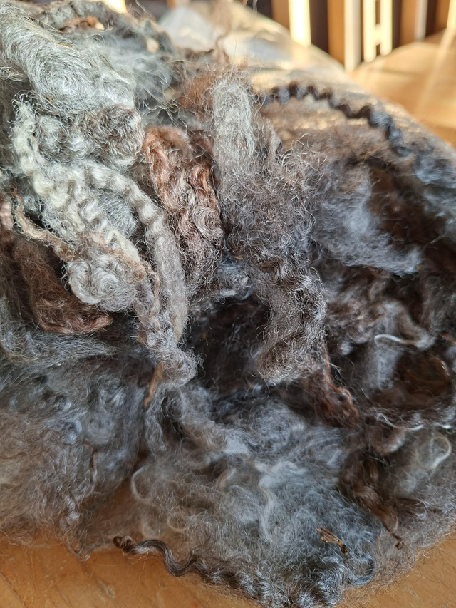 Gotland Leicester croisé 175g Toison26003