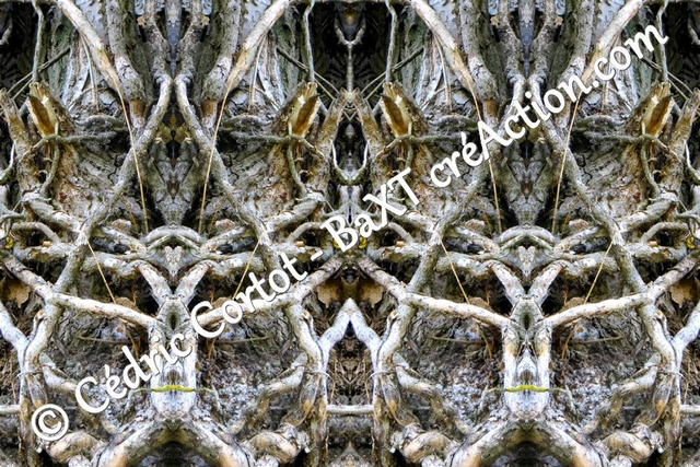 Impression sur alu dibond - Entre réel et irréel (ref 0559-1)