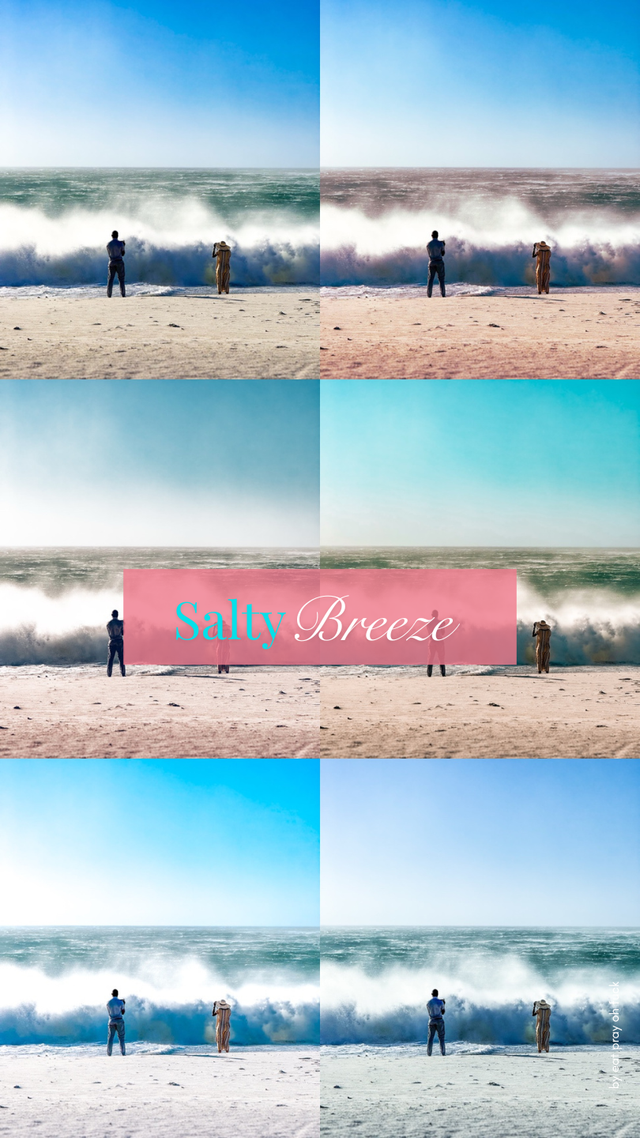 SALTY BREEZE - 1 Preset (6 Styles) – Mein Look für deine Fotos