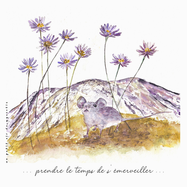 Carte postale &quot;Prendre le temps de s&#039;émerveiller&quot; - Souris