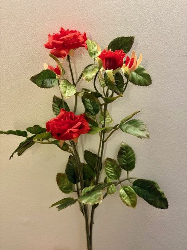 RAMA ROSA PITIMINI ROJA