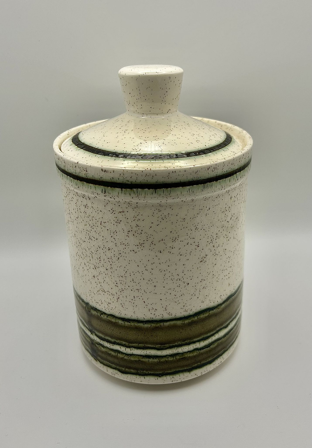 Palissy Royal Worcester Stoneware Trio with Earthy Green Banding (Vintage)