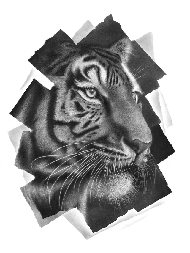 Tiger I Limited Edition Print