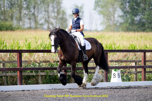 Equine Photoshoot Sunday 13th April 2025