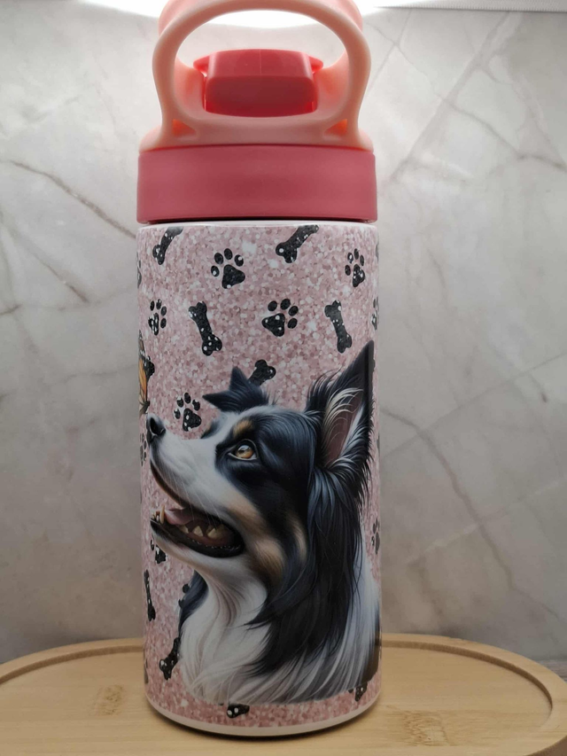 Gourde 350 ML Border Collie