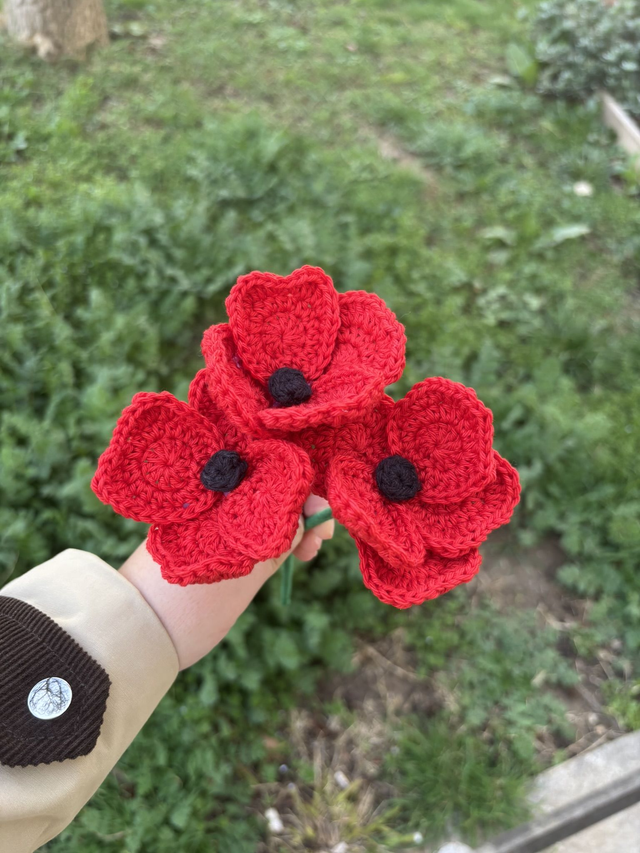 Coquelicot - Trio de fleurs
