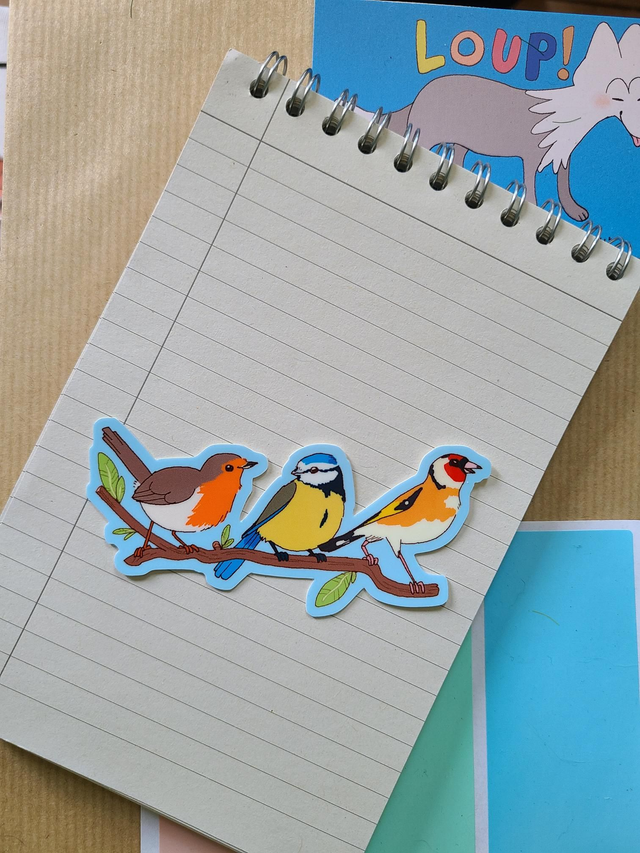 Passerine birds