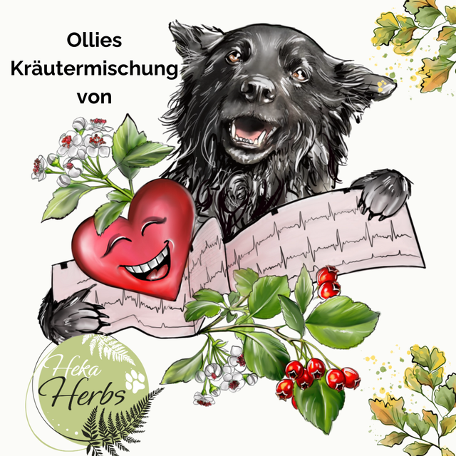Ollies Kräutermischung