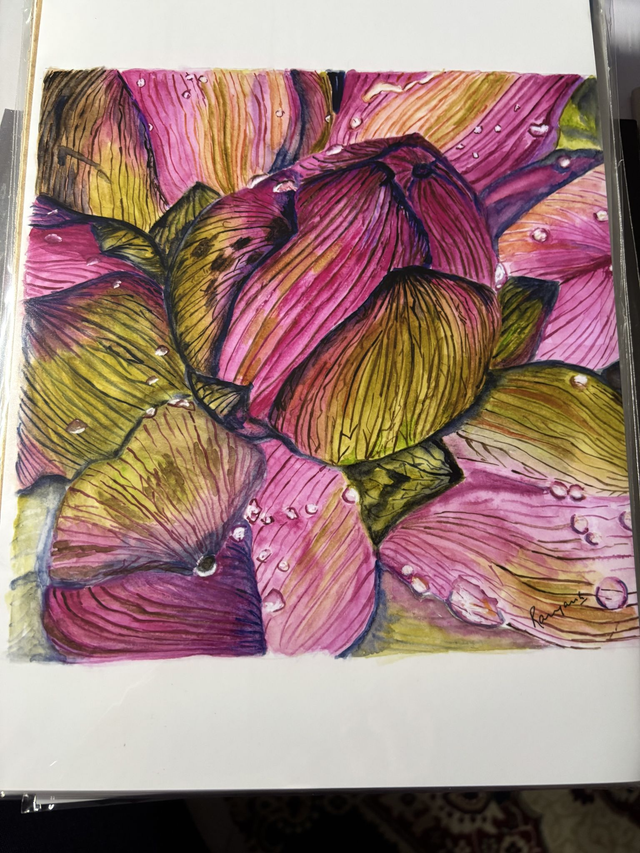 Lotus buds - A4 print