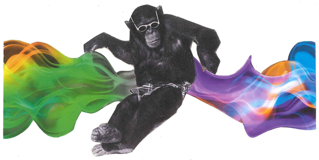 Singe psyché