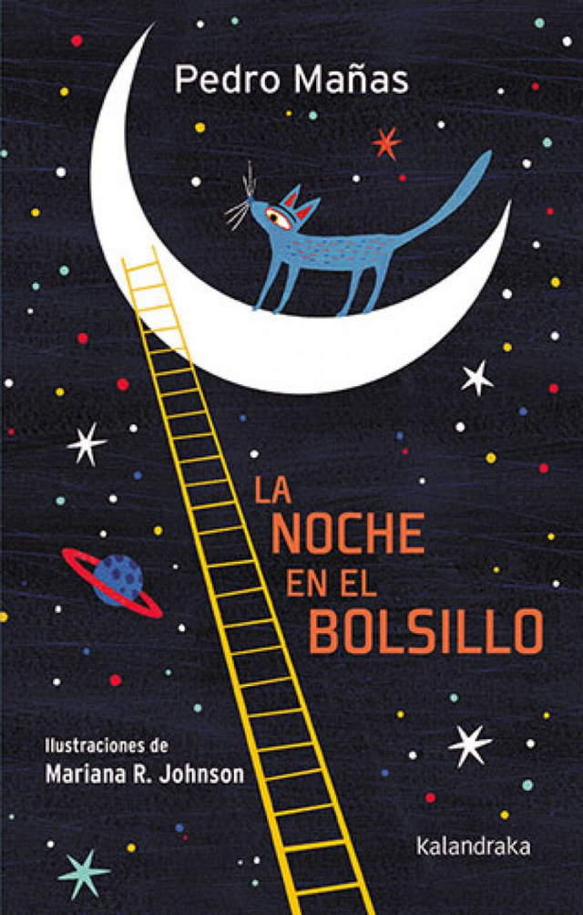 La noche en el bolsillo - Pedro Mañas