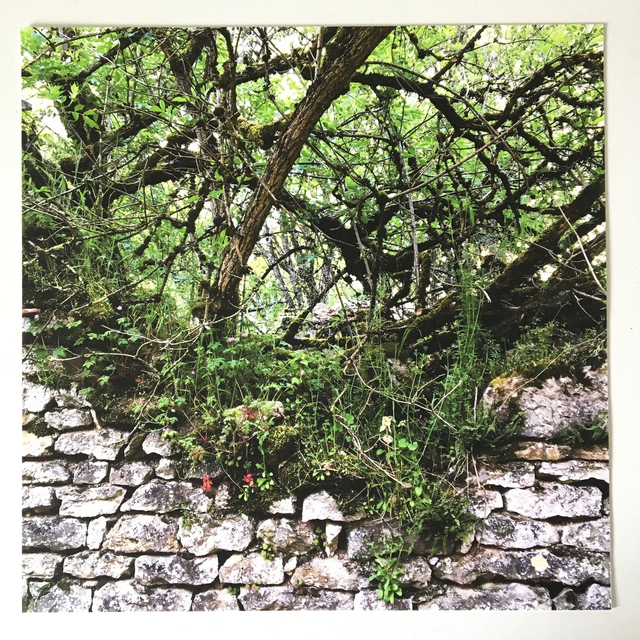 "Beyond the wall" - Tirage Photo FineArt (30x30 sans cadre)