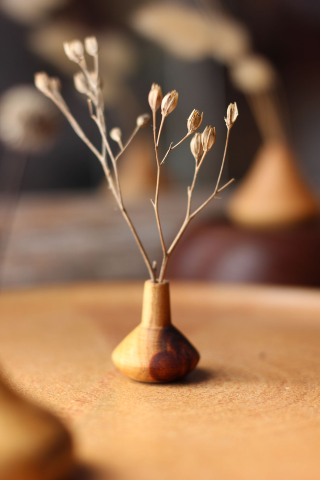 Lot de petits soliflores en bois 