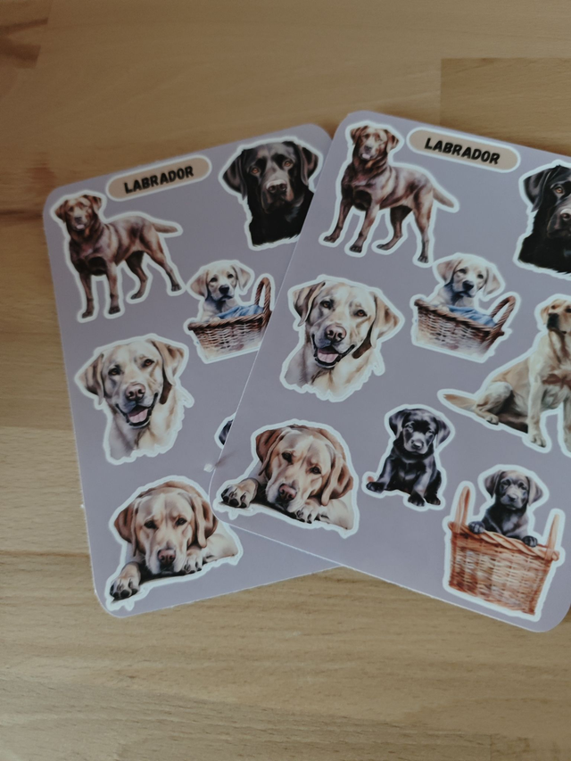 Planche stickers Labrador