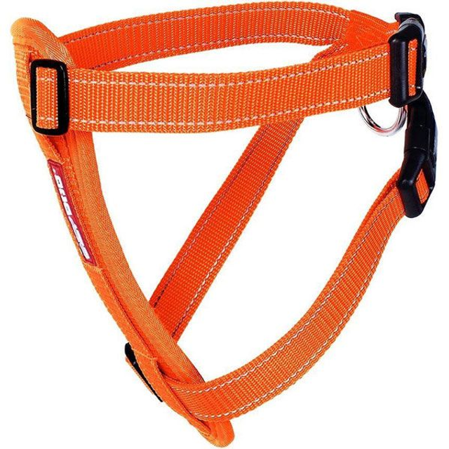 Ezydog borsttuig incl. autogordel 2XL oranje